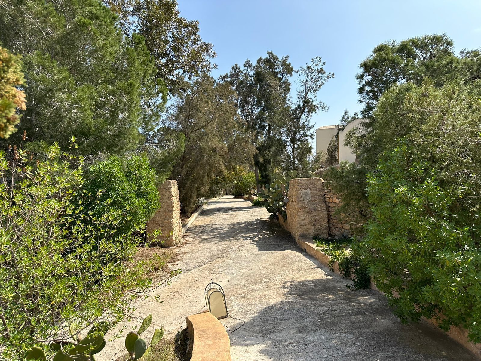 slider-image